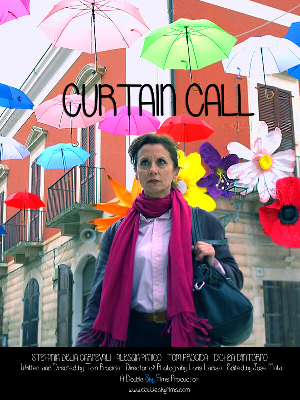Locandina di Curtain Call
