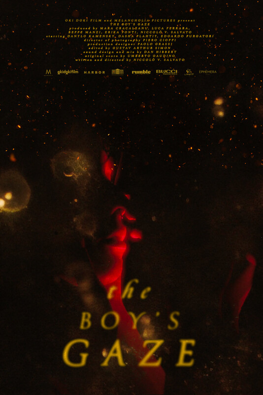Locandina di The boy's gaze