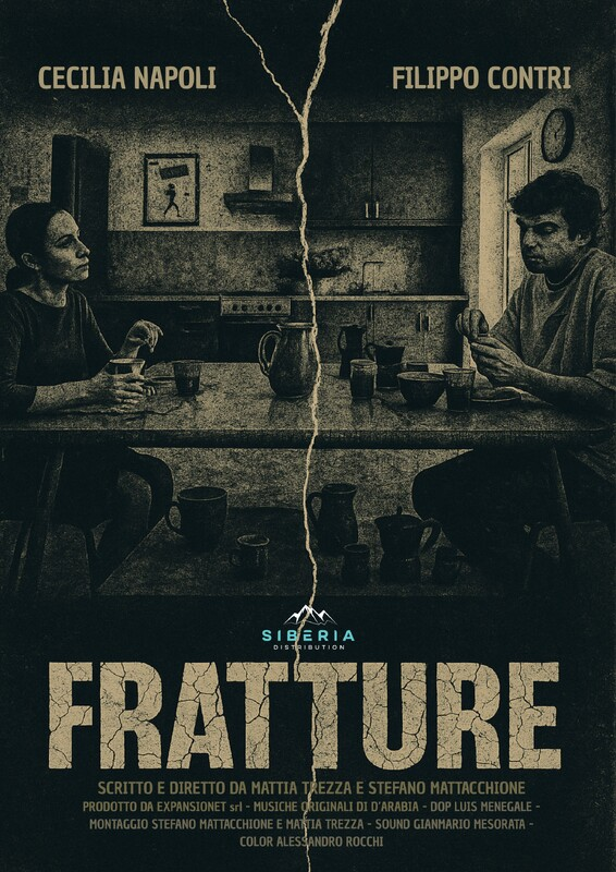Locandina di Fratture