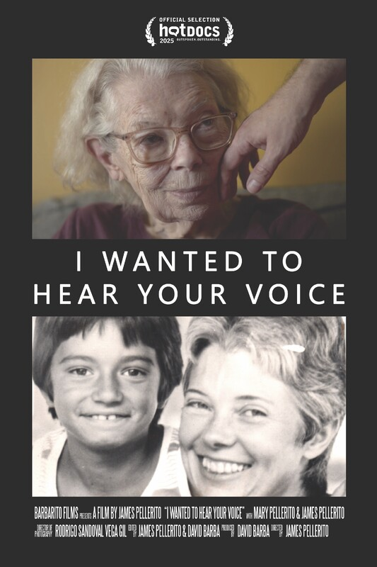 Locandina di I Wanted To Hear Your Voice